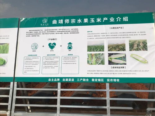 推廣有機肥改良土壤結構，云南國發助力師宗煙草綠色高質量發展